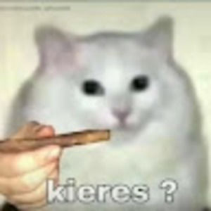 Meet your Posher, Lucia abigail